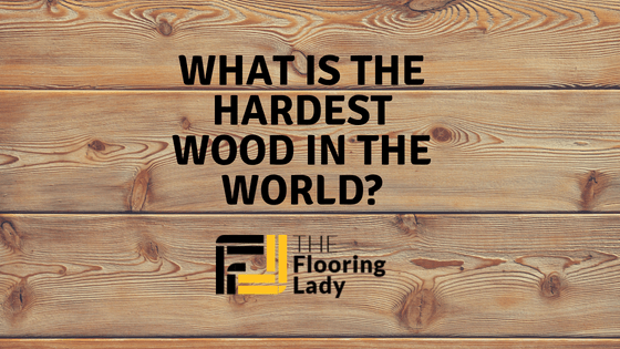 what is the hardest wood in the world_