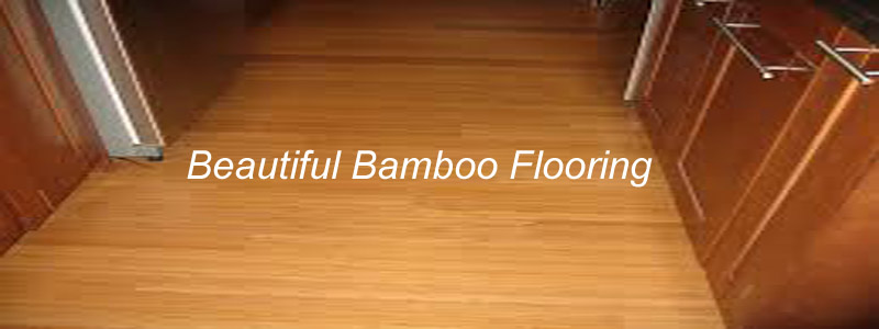 beautiful bamboo flooring